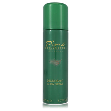 Pino Silvestre by Pino Silvestre